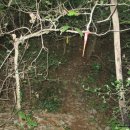 화치공원 이미지