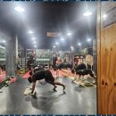 엘복싱 이미지