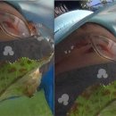 아이앤에스컨설턴트 | 파일프레소 사용 후기