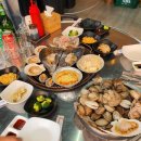 감성조개 이미지