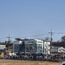 최현배농장 | 2026 논산딸기축제 주차 꿀팁/ 오후3시 갔다가 사람에 치이고 빈손으로 탈출함