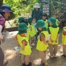 구립초롱별어린이집 이미지