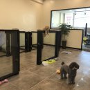 바니펫살롱 이미지