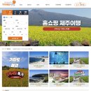 (주)제주파랑새관광여행사 | 제주가자닷컴 리뷰 | 제주 여행 원스톱 플랫폼 활용법 &amp; 추천 상품