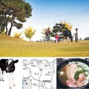 용인목장 이미지