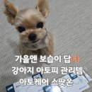 한국엘랑코동물약품(주) | 가을철 강아지 아토피 보습제 엘랑코 아토케어 스팟온 후기