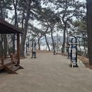 상록수공원 네이버블로그
