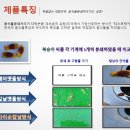 다이손