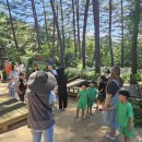 힐링캠프 이미지