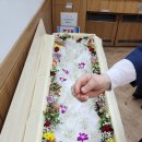 안산제일병원 네이버블로그