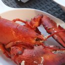 삼화수산 이미지