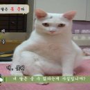 건들 이미지