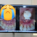 위드유치과교정과치과의원 이미지