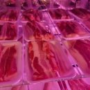 하나로정육식당 이미지