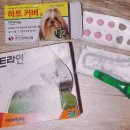 원효동물병원 이미지