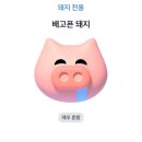 뽑으면 돼지 이미지