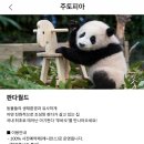 월드샵 이미지