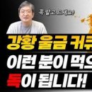 울금효능 강황의효능 커큐민 강황울금 차이 구별 방법 이미지