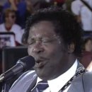 B.B. King - Ain't Nobody's Business (Live at Farm Aid 1985) 이미지