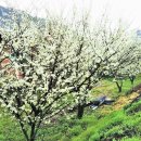 청해농원 이미지