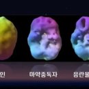 가운데