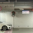 코스모스아파트 1동 앞 횡단보도 | 이대/신촌, 크레스티드게코 분양 파충류샵 나뭇잎마을 마포점 방문 후기