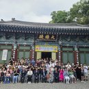 달마사