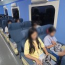 한반도 통일 미래 센터 | 철원 캠프 2일차 후기 (한반도통일미래센터 프로그램, 서바이벌, 장사리, 인천상륙작전) 2025 한국역사...
