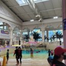 살아있네강랜푸드 이미지