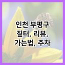 짚터 이미지