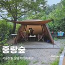 중랑캠핑숲양원청소년독서실 | 서울캠핑 중랑캠핑숲 예약 당일치기 바베큐
