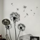 블랙엔화이트 이미지