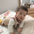 멍로하 이미지