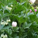 황정농장 이미지