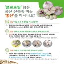 초록마늘