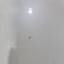 유천 더워시 24시 셀프세차장 이미지