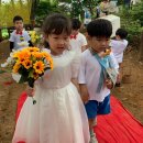 [5세-샘물💚들꽃💚초록] 💒결혼식 놀이 이미지