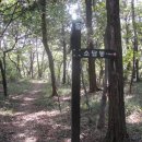 낙동강변로-12 이미지