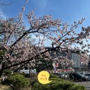 한화이글스 한화생명볼파크 정규 개막전 후기(주차, 입장 게이트, 먹거리 등)