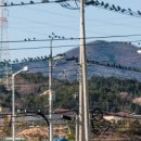 원리할머니경로당 이미지