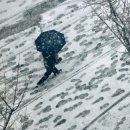 대구서동초등학교 이미지