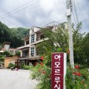 아모르 루시 이미지