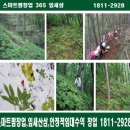 주식회사 잎새삼 이미지