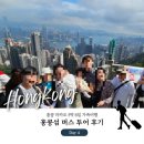 섬 버스 투어 추천: 빅토리아피크, 리펄스베이, 스탠리, 센트럴, 소호벽화까지! (고마이플랜 이용 후기)