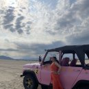 낭만목장 이미지