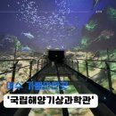 국립영덕청소년해양환경체험관 | 실내놀이터급 체험존? 국립여수기상과학관 다녀왔습니다.