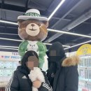 인천강아지분양 테디럽 이미지