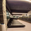 영바디짐 이미지