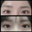 상동로 117번길 48 | 부천속눈썹 추천✨ 루비아이에서 받은 상동역속눈썹연장 후기! 자연스럽고 가벼운 눈매 완성💕