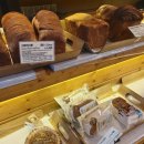 뚜레쥬르호계아크로점 이미지